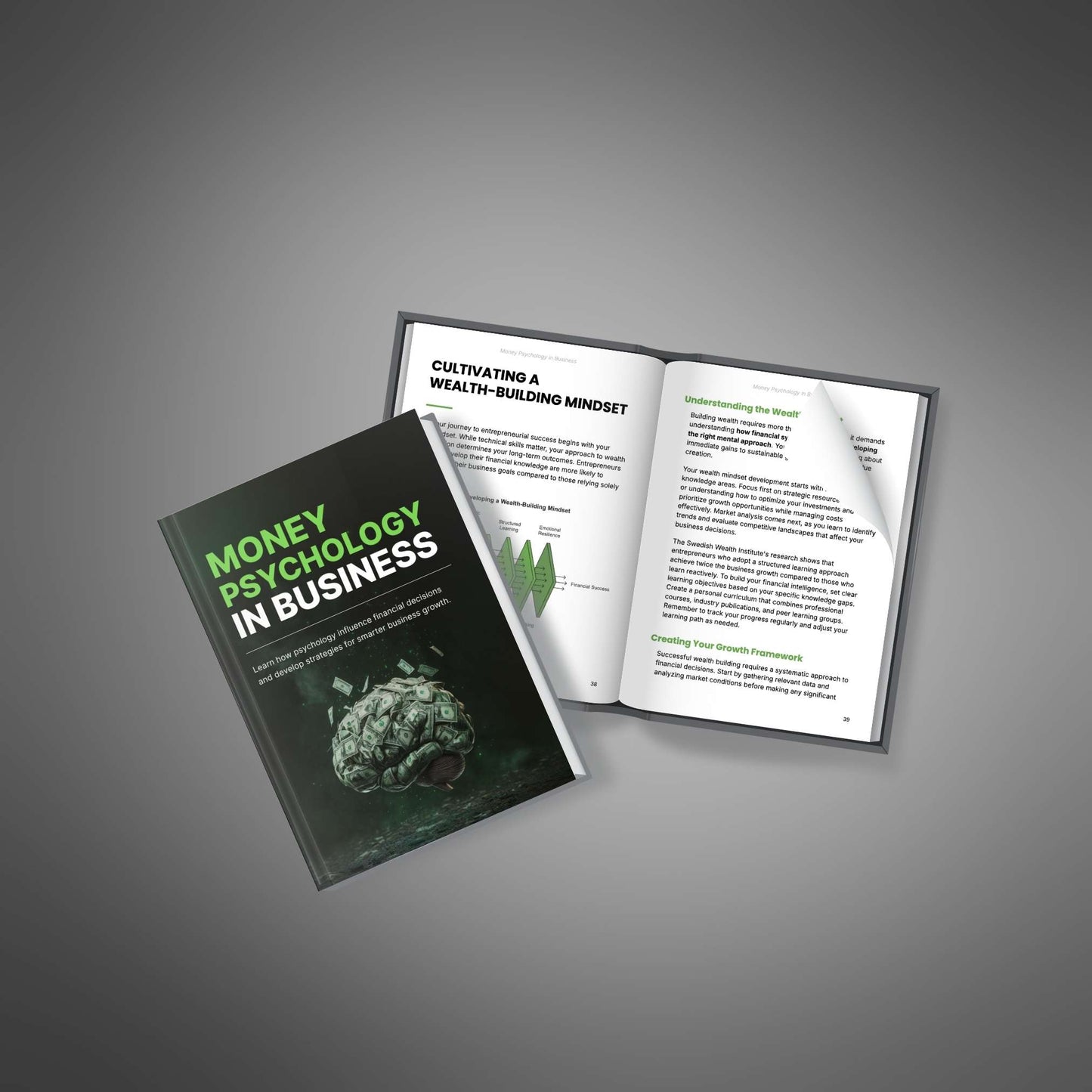 Money Psychology in Business - Ebook